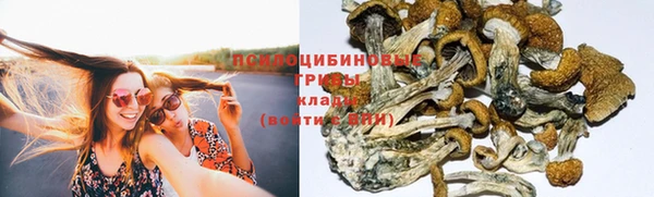не бодяженный Абаза