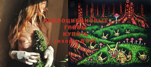 Альфа ПВП Абдулино